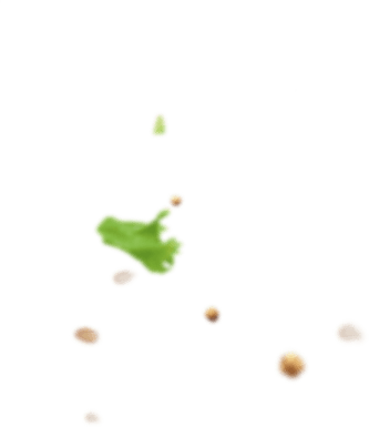 листики